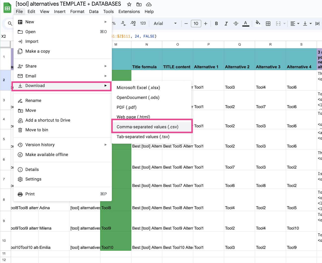 download the template as CSV
